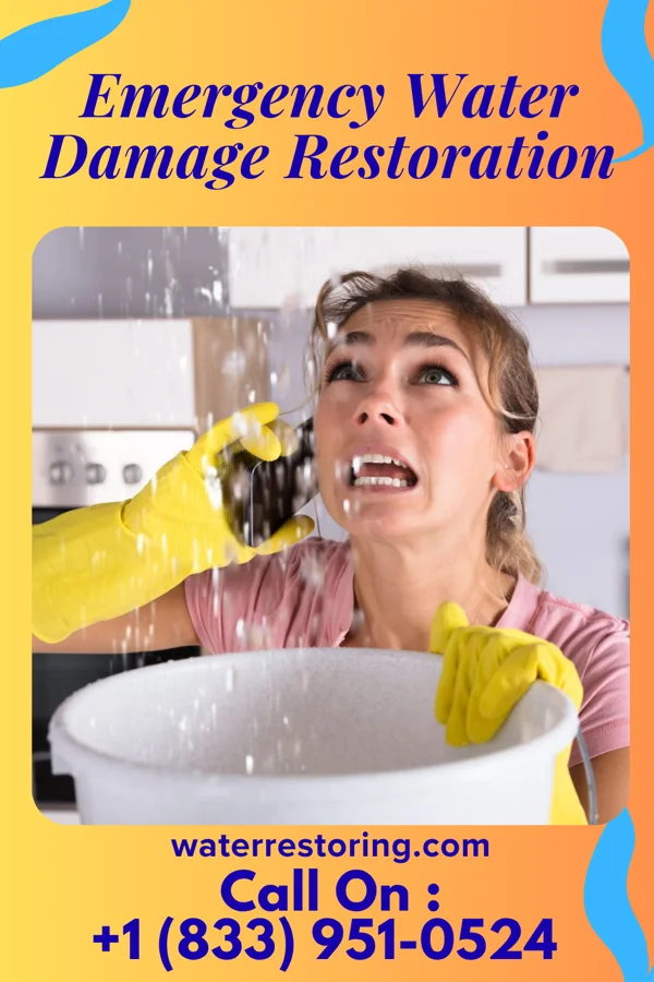 Emergency Water Damage Restoration in Charlevoix, MI