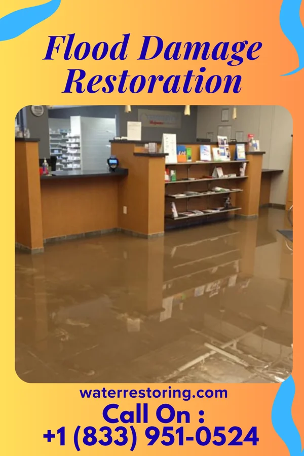 Flood Damage Restoration in Charlevoix, MI