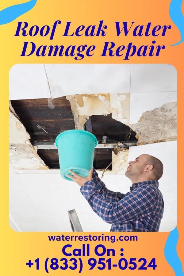 Roof Leak Water Damage Repair in Charlevoix, MI