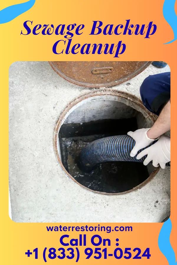 Sewage Backup Cleanup in Charlevoix, MI